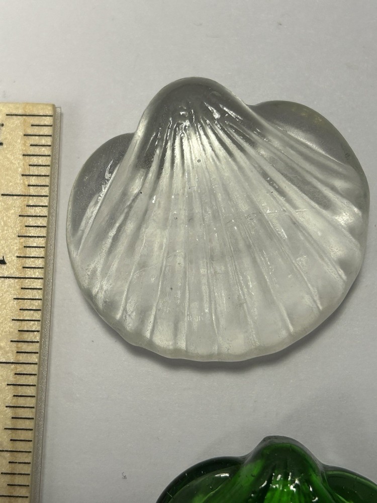 Glass Seashells: Multiple Colors