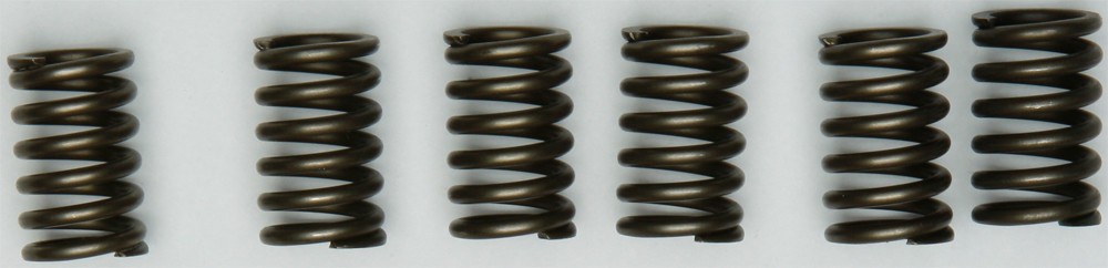 EBC Clutch Spring Set - Clutch Springs - CSK131