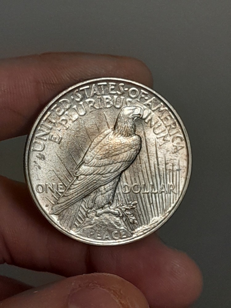 1923- D Peace Dollar BU #4