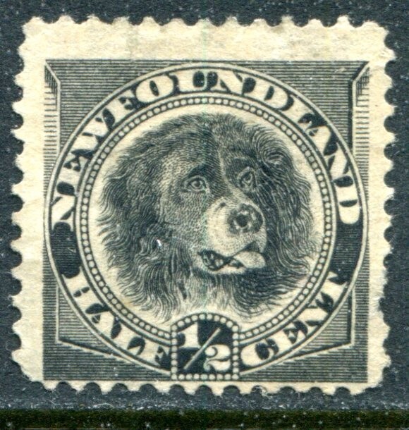 Newfoundland 1894 Unused #58