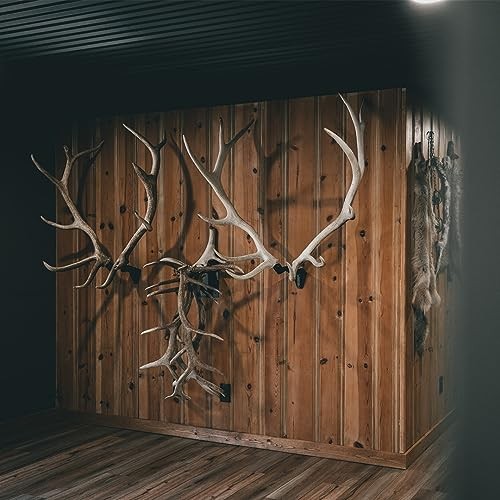 RH2 XL Antler Mounting Kit Single