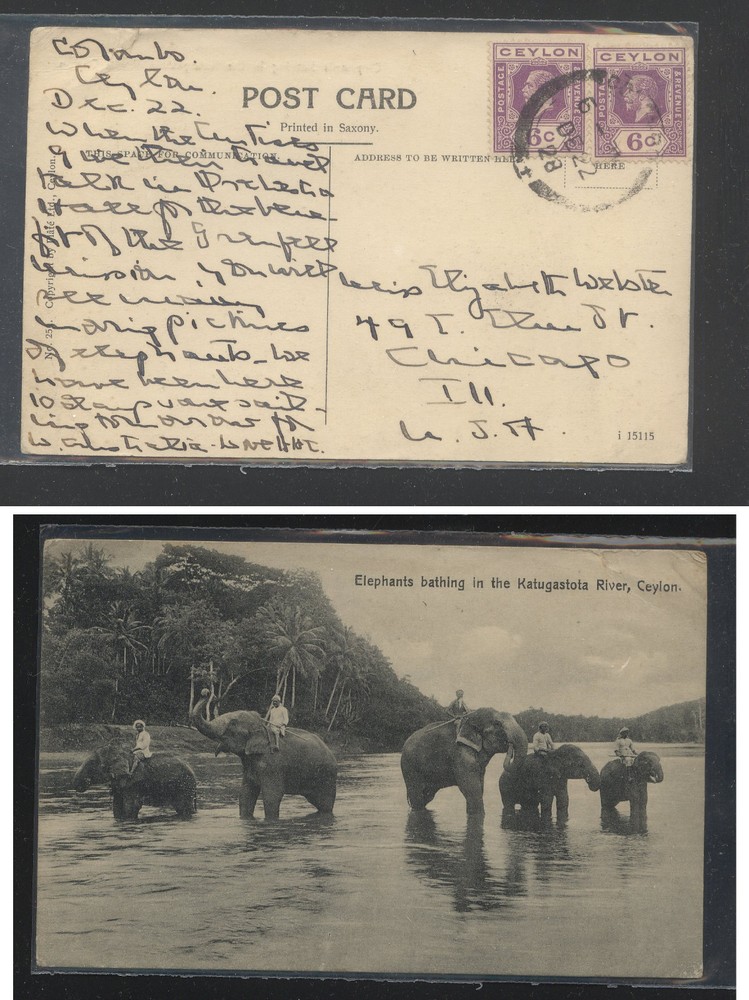 Ceylon  231 (2)  on elephant  post card   1928      KLM0406