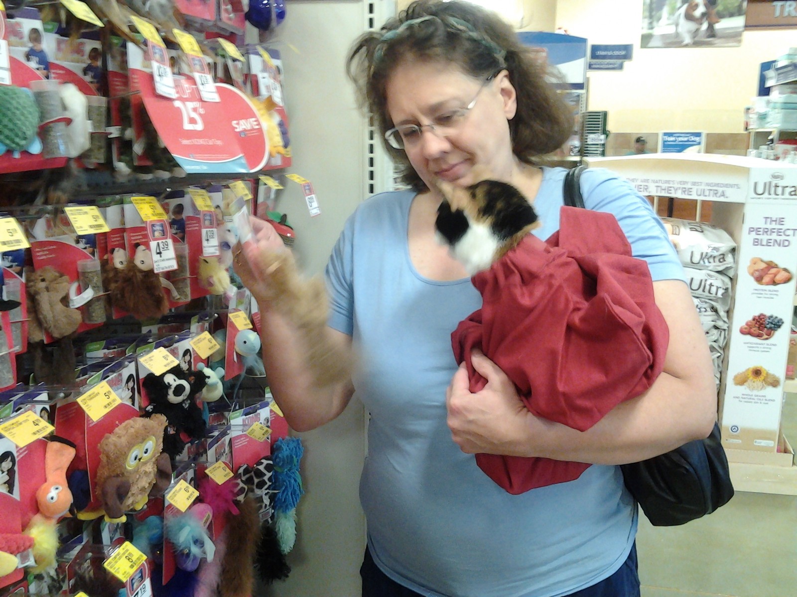 Cat-in-the-bag Cozy Comfort Carriers Gently Used