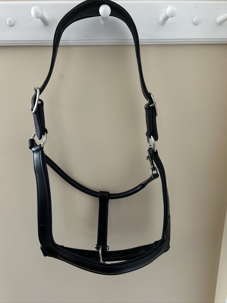 NEW KL Select Red Barn Devon Ergonomic Halter Horse Oversize BLACK