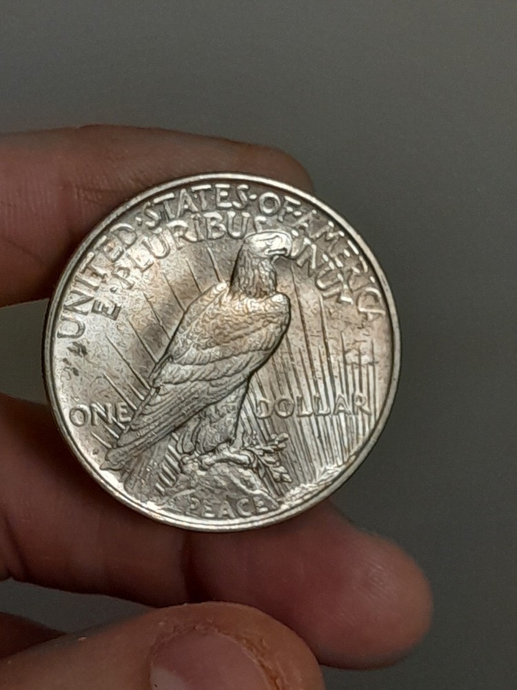 1923- D Peace Dollar BU #4