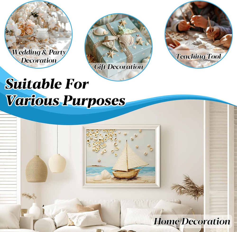 Tiny Seashells for Crafts - Small Sea Shells Mixed Ocean Beach Shells Bulk for H