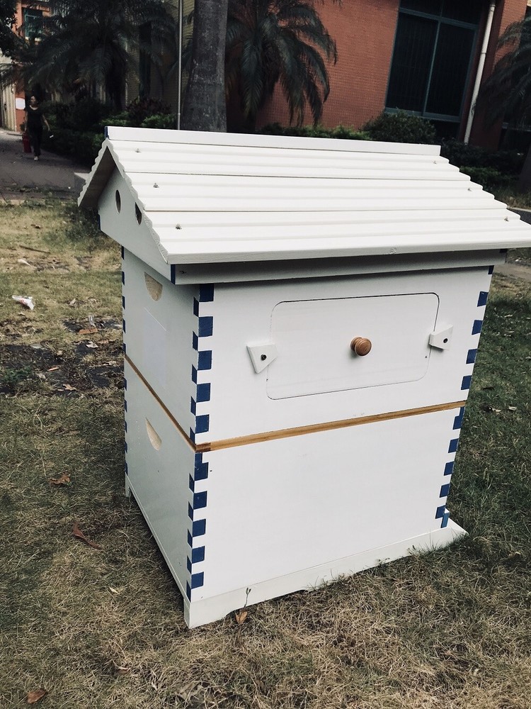 Big Auto Seep Beehive Honey Bee Hive Box Beekeeping Boxes + 7xPlastic Bee Frames