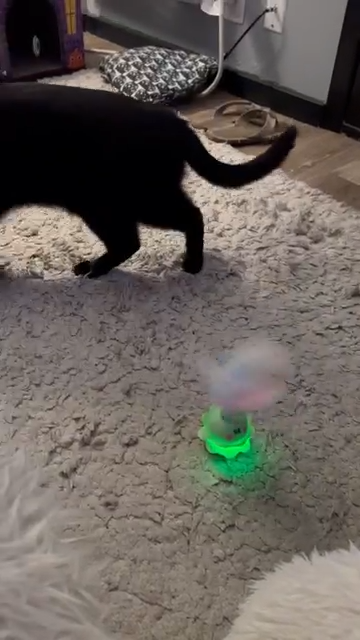 Cat Toys Monster, 2in1 Automatic Interactive Toy, Real Feathers, Rechargeable