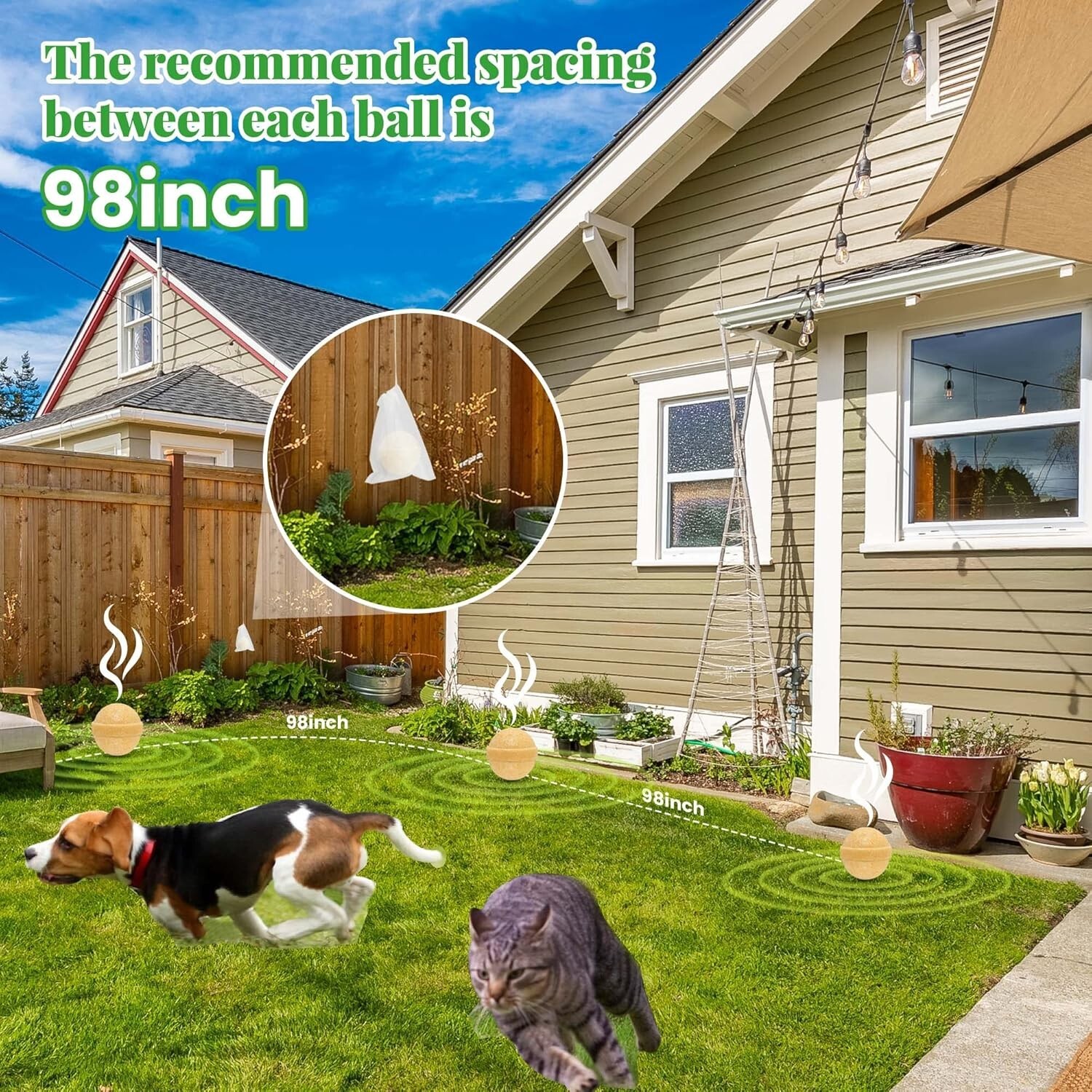 12 Pack Cat Repellent Outdoor Indoor, Cat & Dog Nature Repellents Peppermint Oil