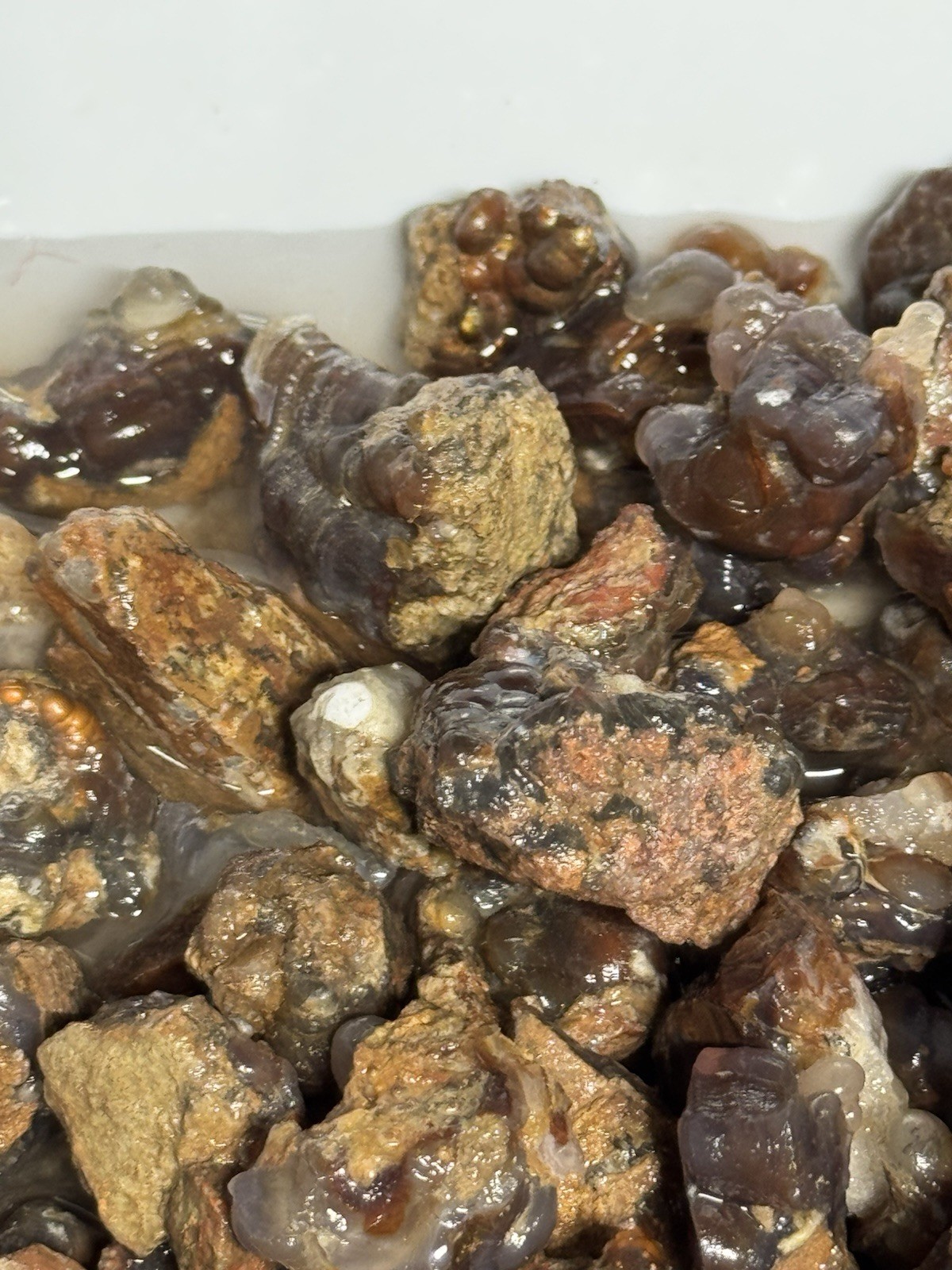 1/2 Lb Mid to Choice Grade Fire Agate Smalls Untreated Colorful Blind Grab Rough