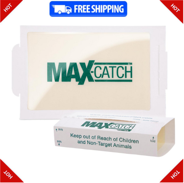 Catchmaster Max-Catch Mouse & Insect Glue Trap 36Pk, Mouse Traps Indoor