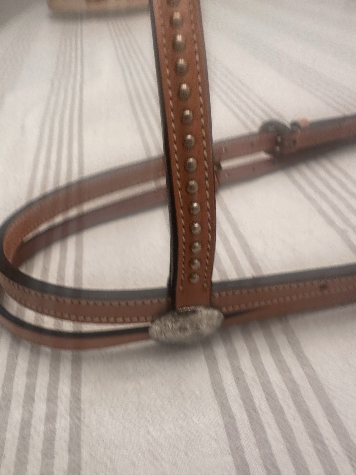 Vintage Champion Turf & Reins, Bridle leather Southwestern Style Silver Accent