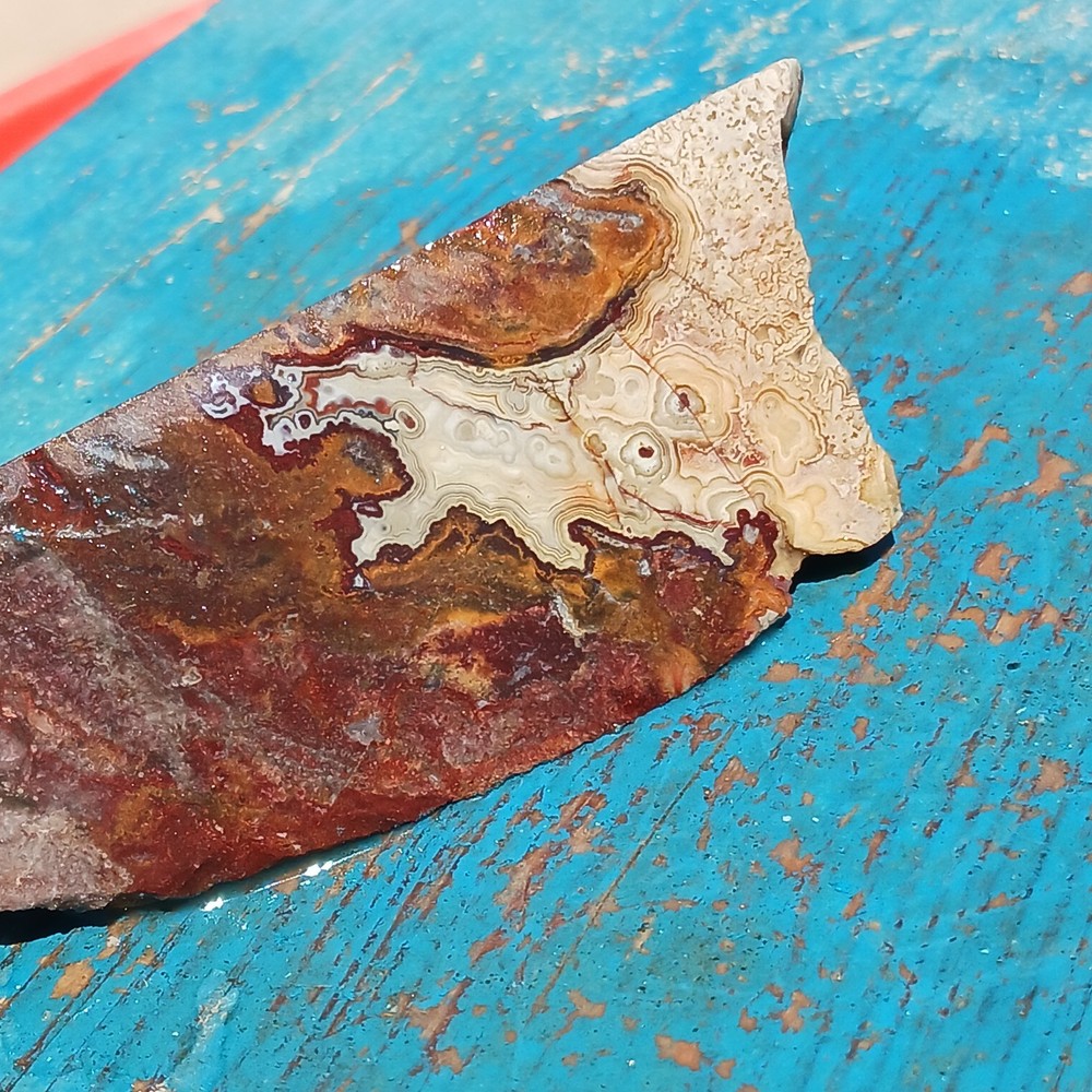 Lapidary Moss Agatey SLICE Ready To Dice
