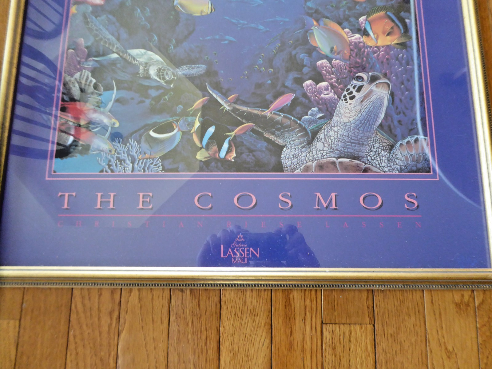 Vintage Framed Christian Riese Lassen "The Cosmos" Maui Hawaii Art Poster