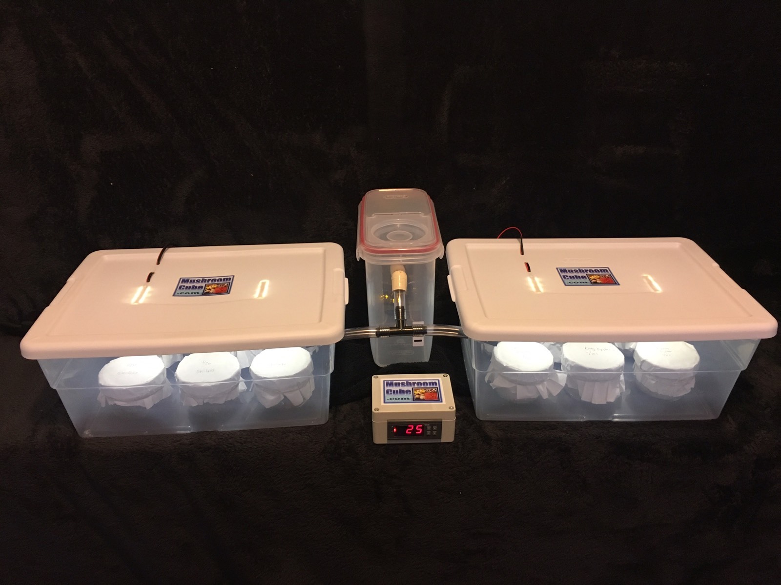 Automated Mushroom Growing Kit with 12 PF Tek Jars Sterile Substrate