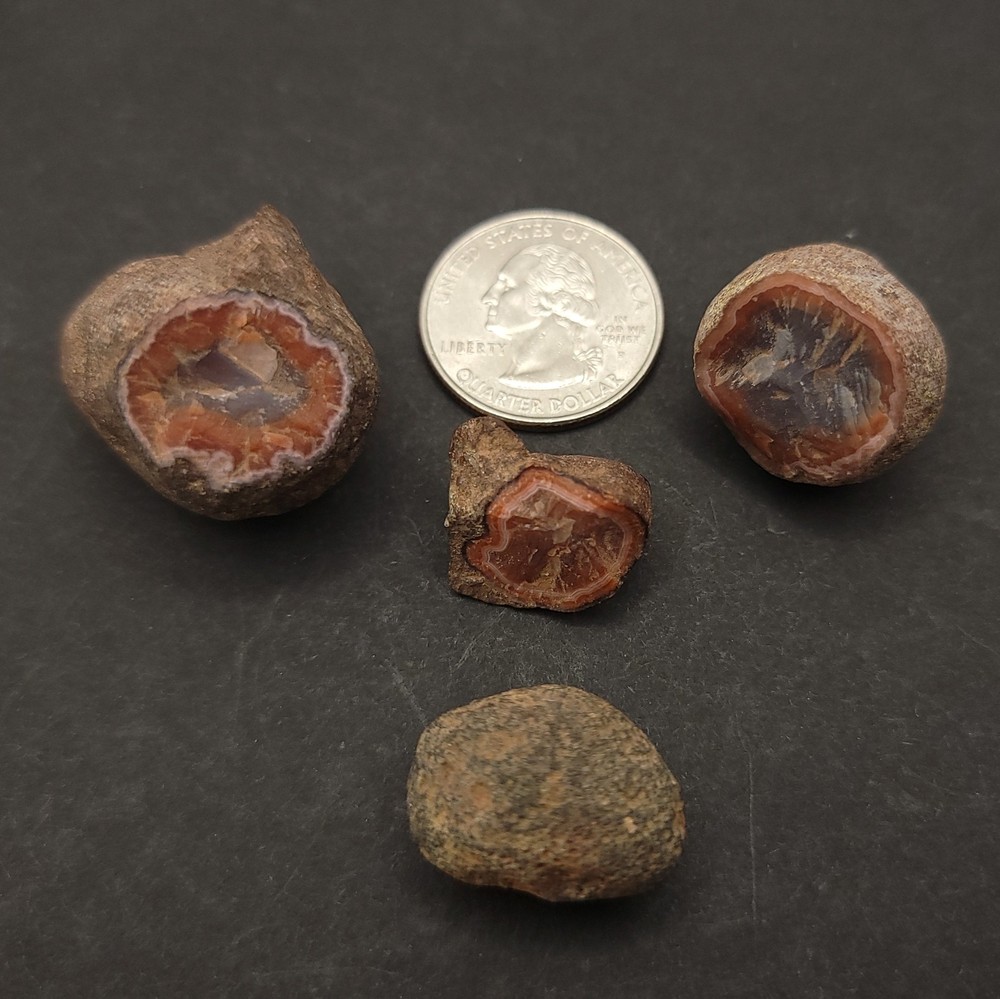 x4 Coyameto Agate