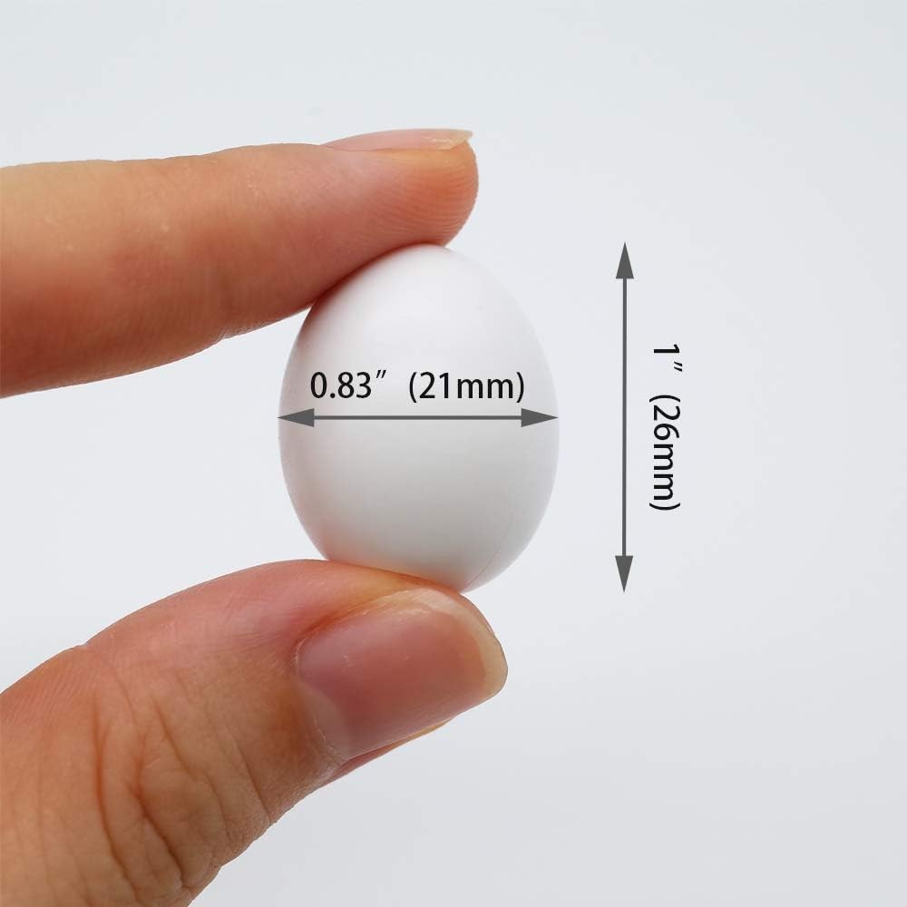 FOIBURELY 4 Pcs Solid Parrot Plastic Eggs Hatching Eggs Green Cheek, Lorikeet&Ri