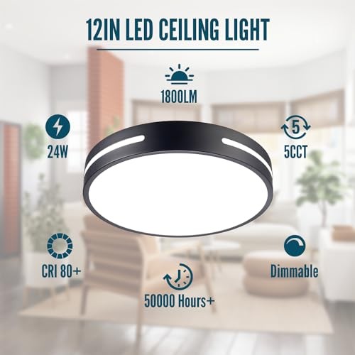 LED Ceiling Light Flush Mount 24W Kitchen Light Fixture Ceiling 12INCH Black