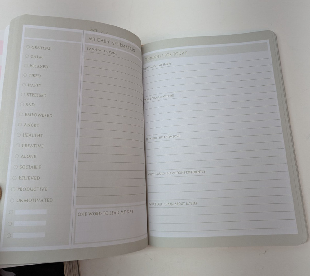 Plan, Pause Reflect Journal Fuchsia Guided Daily Reflection Journal Gartner HC