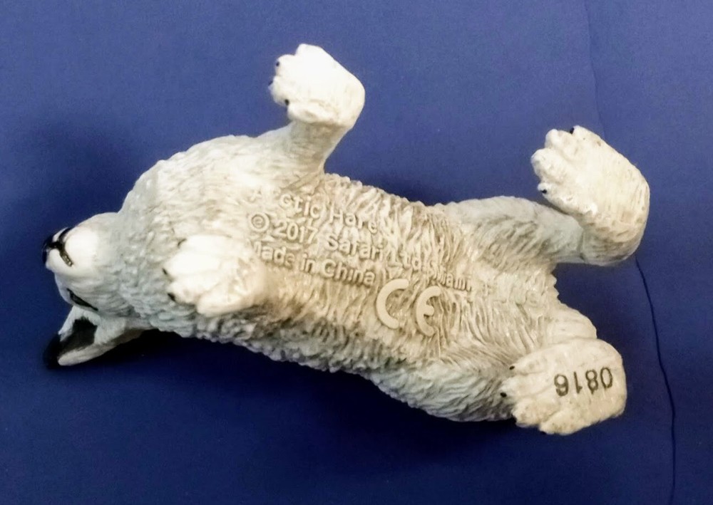 Safari arctic hare rabbit #182129