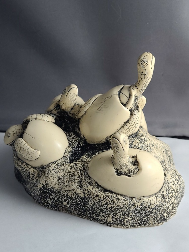Cook Company Hatch Turtles