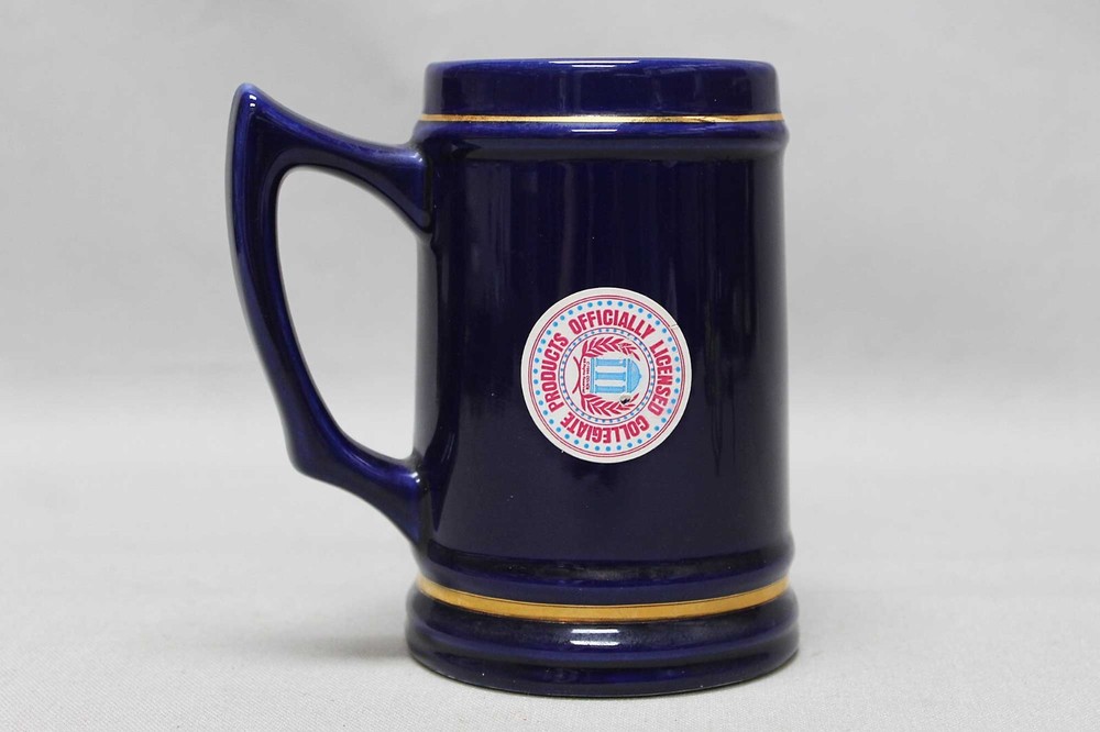 USAF Academy Blue Mug . FLU4718