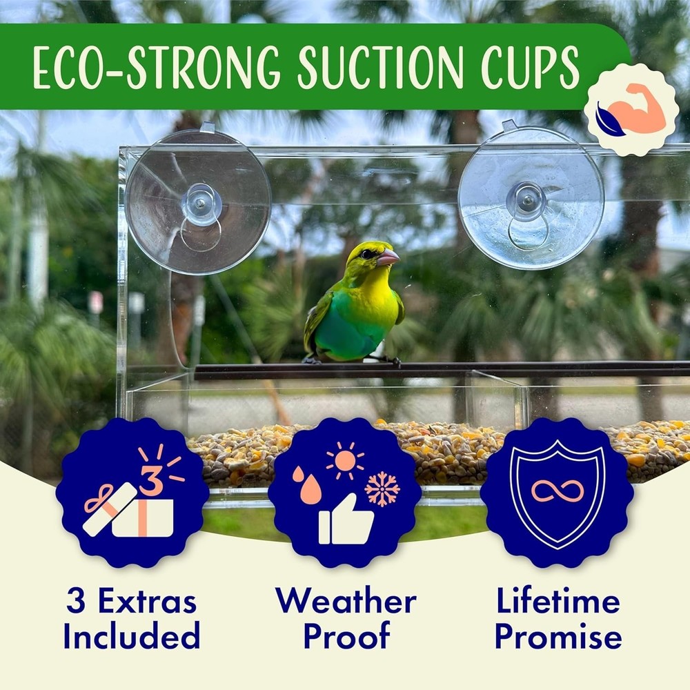 Window Bird Feeder with Strong Suction &