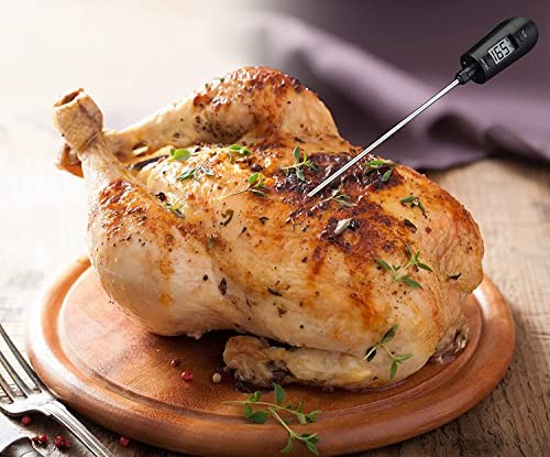 Digital Candy Thermometer & Spatula