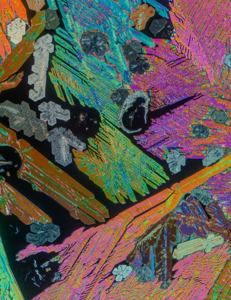 Microscope slide for polarized light  NIACIN and CAFFEINE