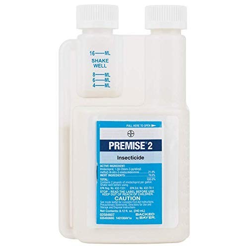 premise 2