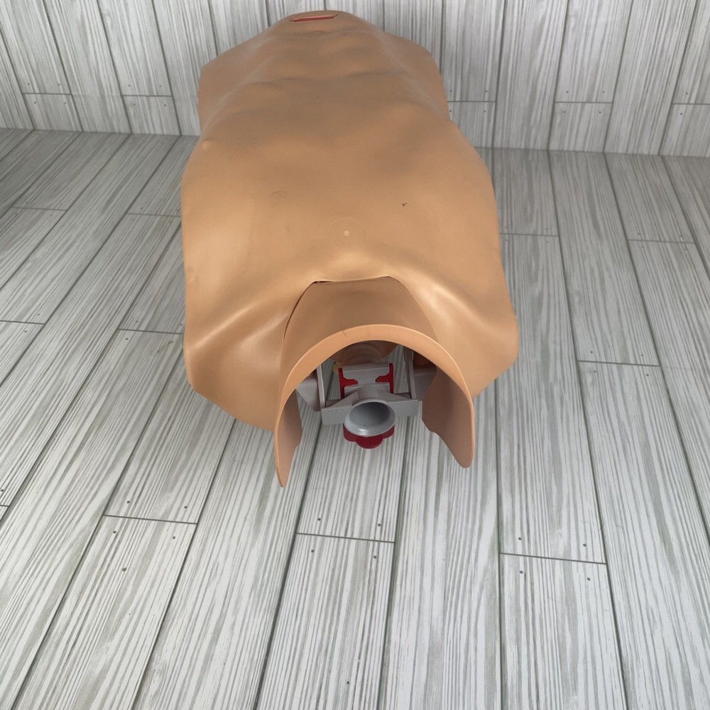 Ambu training CPR Multiman manikin With Hygienic System-HARRY