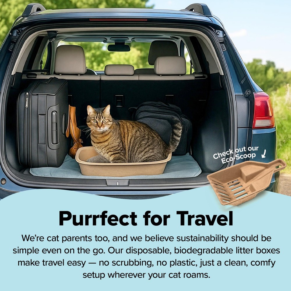 Jumbo Disposable Cat Litter Box, 6 Count - Eco-Friendly, Odor Control,