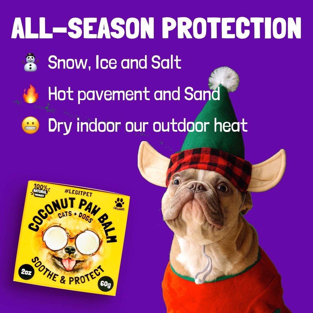 Coconut Paw Balm for Dogs by