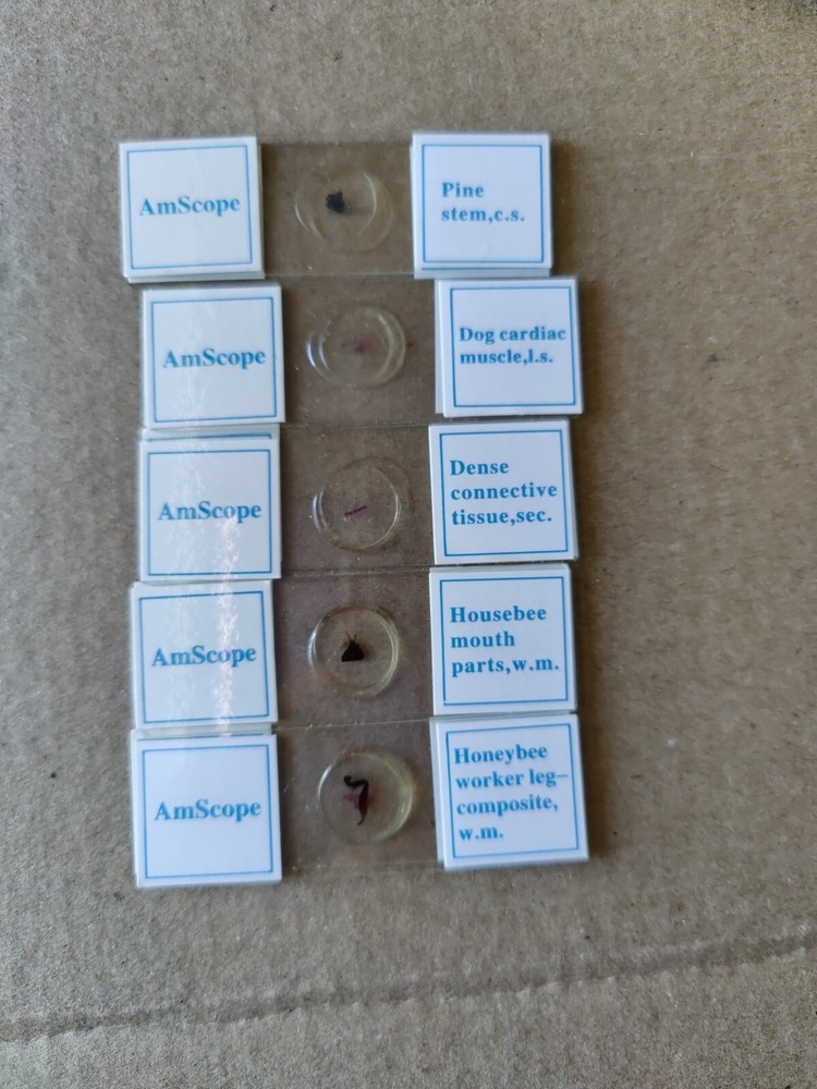 AmScope PS25W Prepared Slides