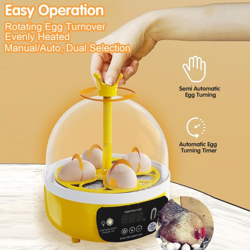 4 Eggs Mini Incubator with Transparent Lid,7W Automatic Temperature Humidity ...