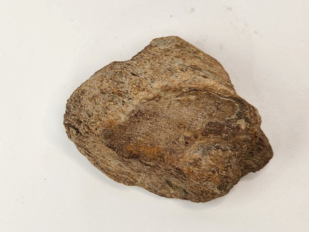 Edmontosaurus Dinosaur Bone Fossil - Hell Creek Fm.