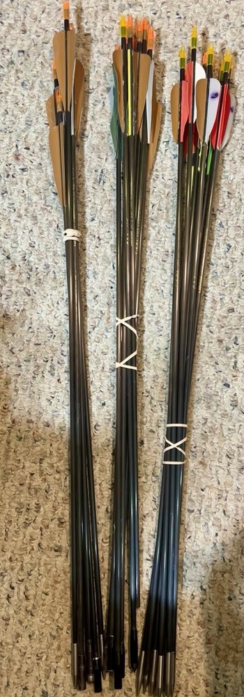 16- Cabelas  SST 220 Misc Length Target Tips Nocks Good