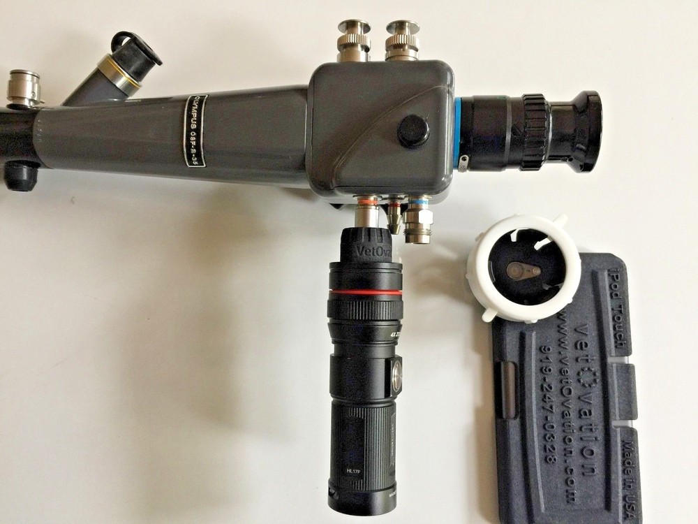 OLYMPUS Flexible Gastroscope 34cm long with light and iPhone adaptor