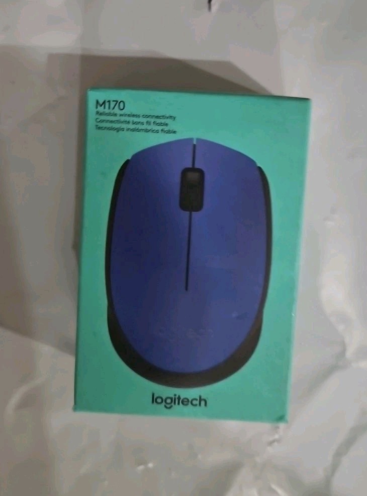 Logitech M170 Wireless Mouse - Blue