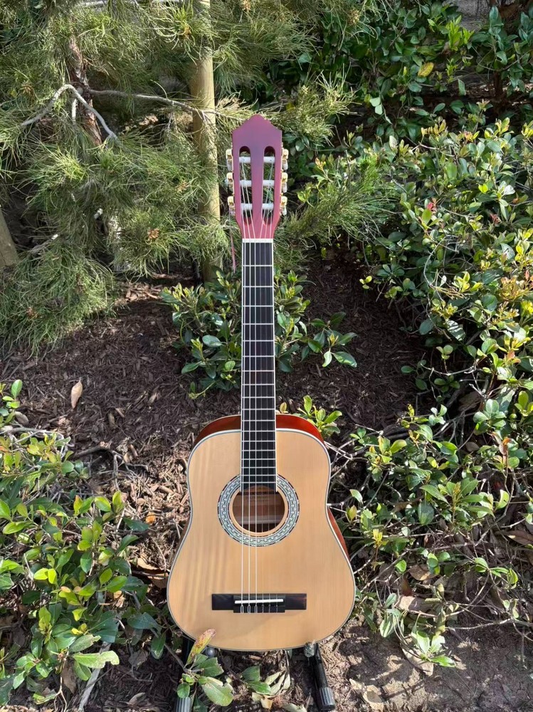Mollo Acoustic Guitar Classical Guitar 6 string Guitar