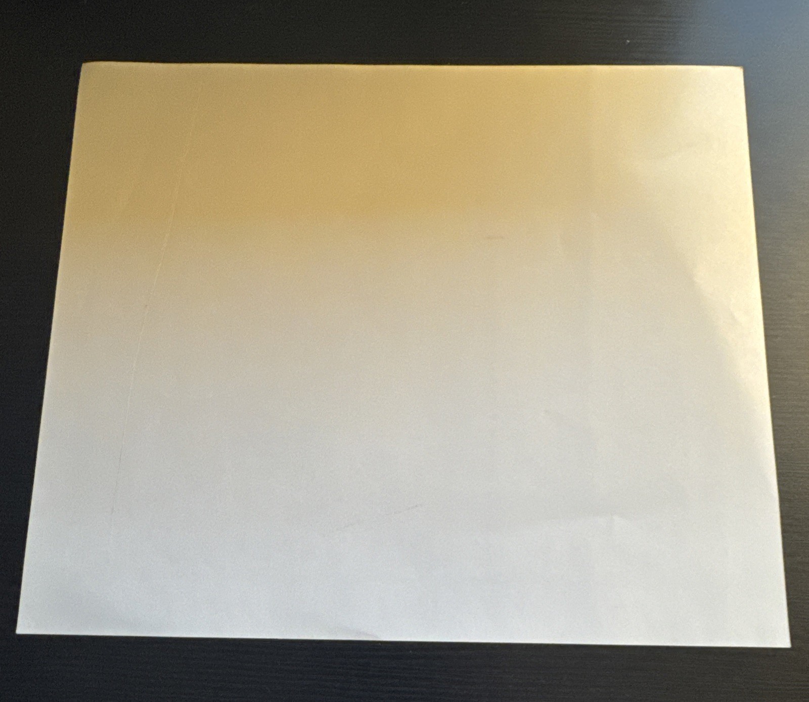 NASL 1983 New York Cosmos Team Picture Color 8 X 10 Photo Picture