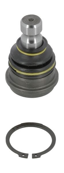Control Arm Pin Front Left (Left) - Right