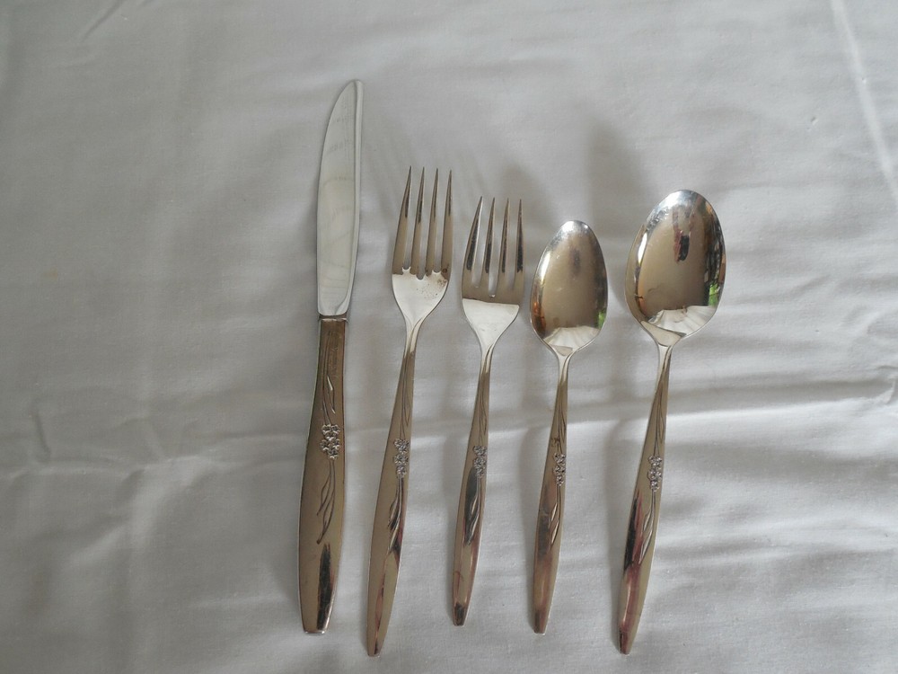 Oneida community silver Enchantment genital rose 5pc place setting flatware 1960