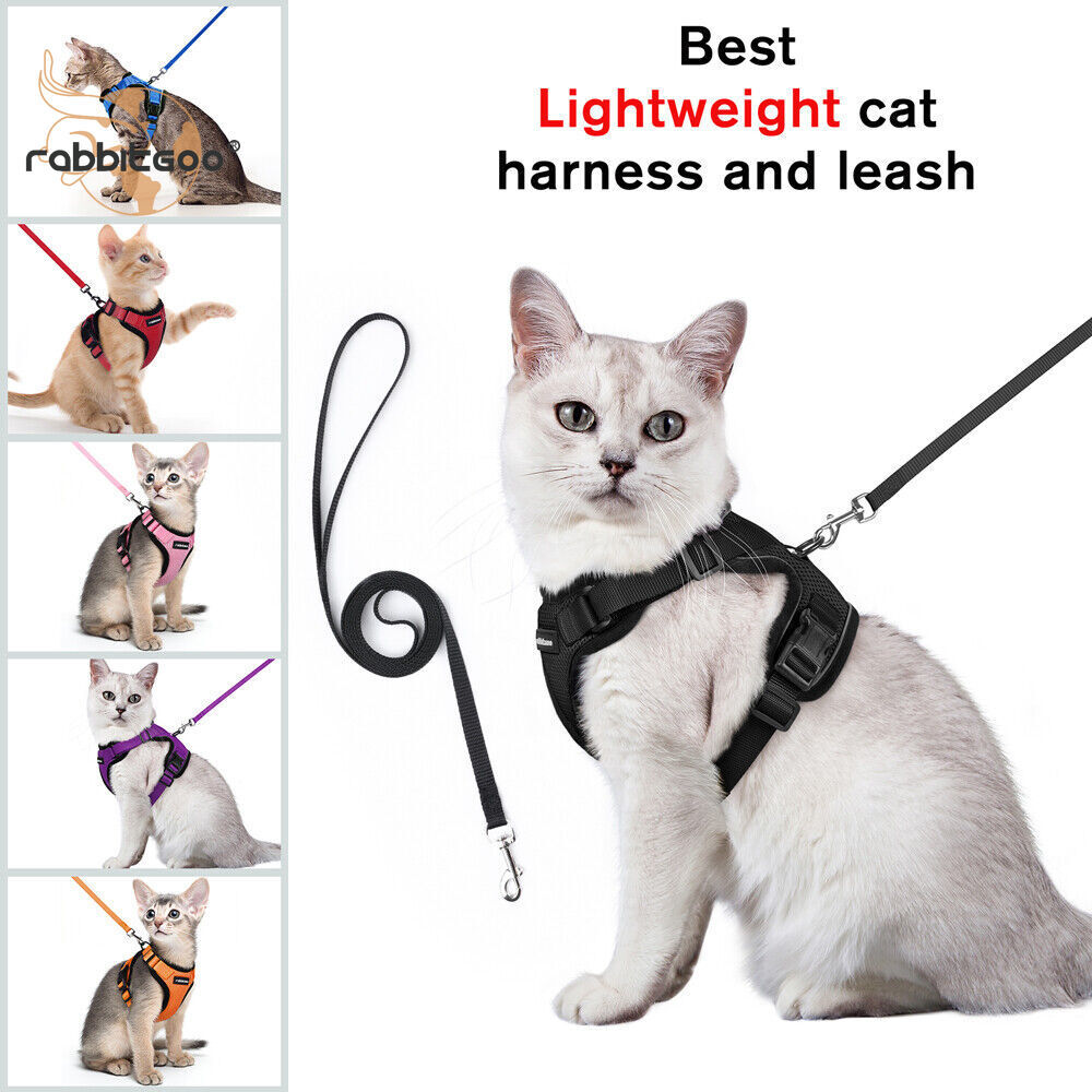 rabbitgoo Cat Harness and Leash Escape Proof Walking Vest Adjustable Reflective
