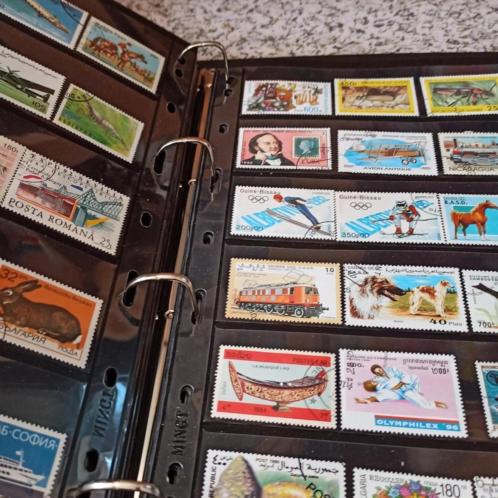 Standard 9-Hole Stamp Album Pages for Collecting and Displaying Stamps