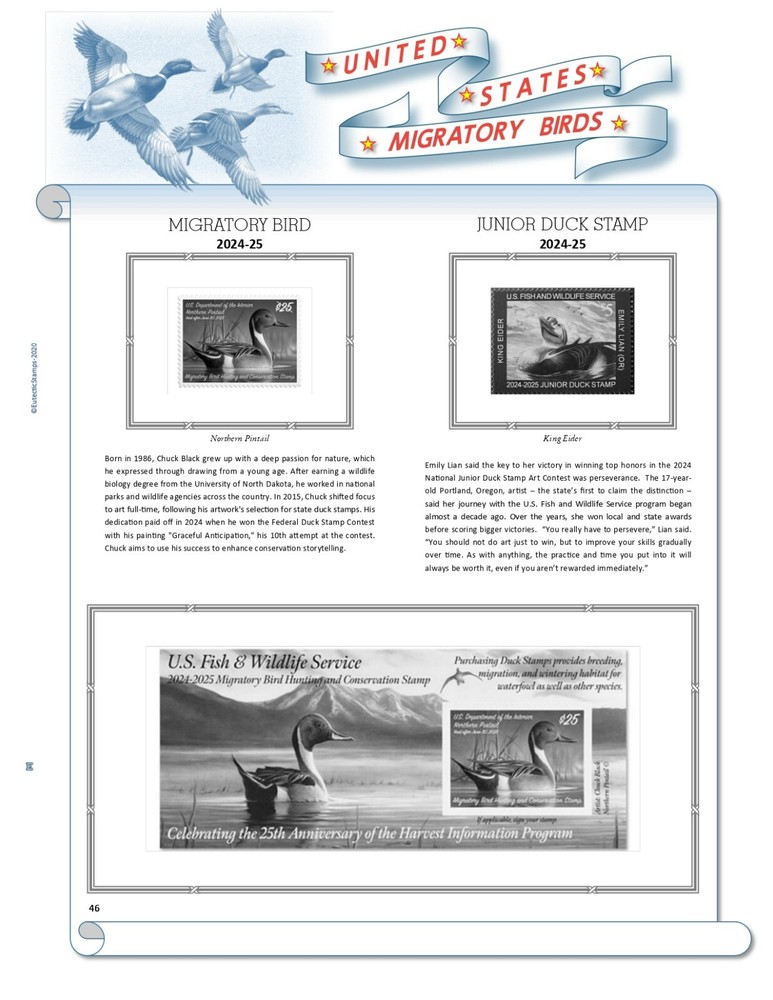 U.S. Federal Duck Stamp Supplement 2024-25 (White Ace Alternative)