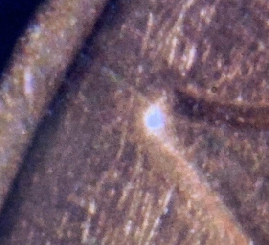 1983 P Lincoln Cent With Die Chip (boogie nose)