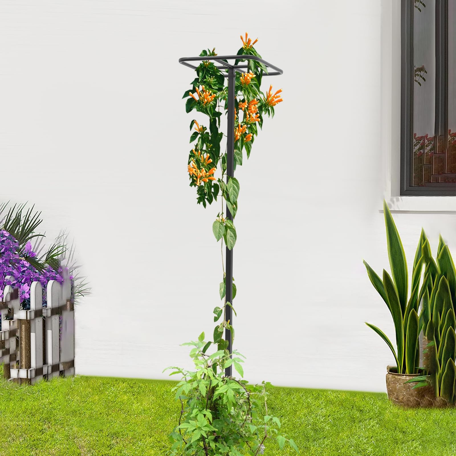 Dragon Fruit Plant Trellis Adjustable Metal Outdoor Vertical Climbing Support