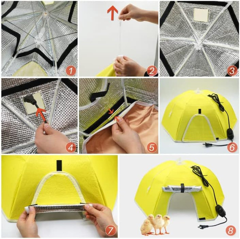 Large Chick Brooder Heating Plate Chick Brooder Box 21.6" Heat up to 50 Chicks