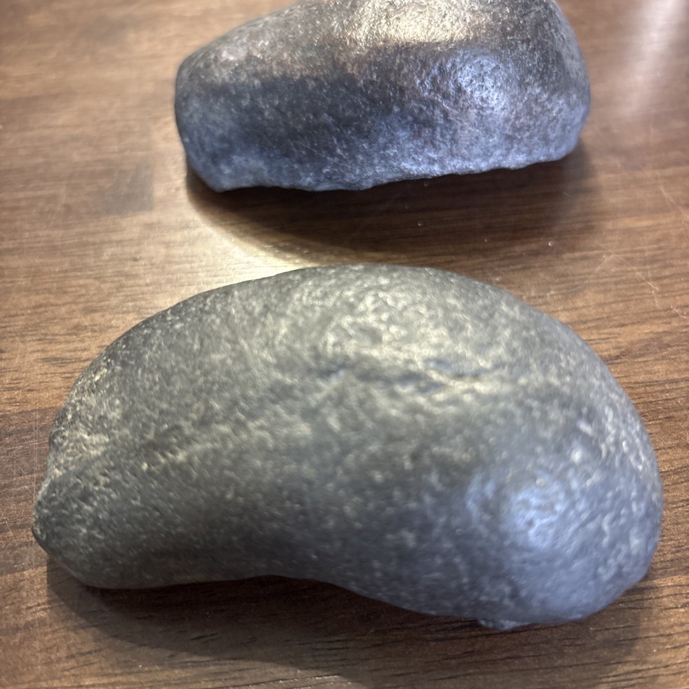 (2) 3.5 Inch Fossilized Whale Ear Bones